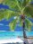 Dovolenka na Fidži v 4* rezorte Outrigger On The Lagoon Fiji, Coral Coast s raňajkami, na 11 dní za 2 728 € @ invia.sk